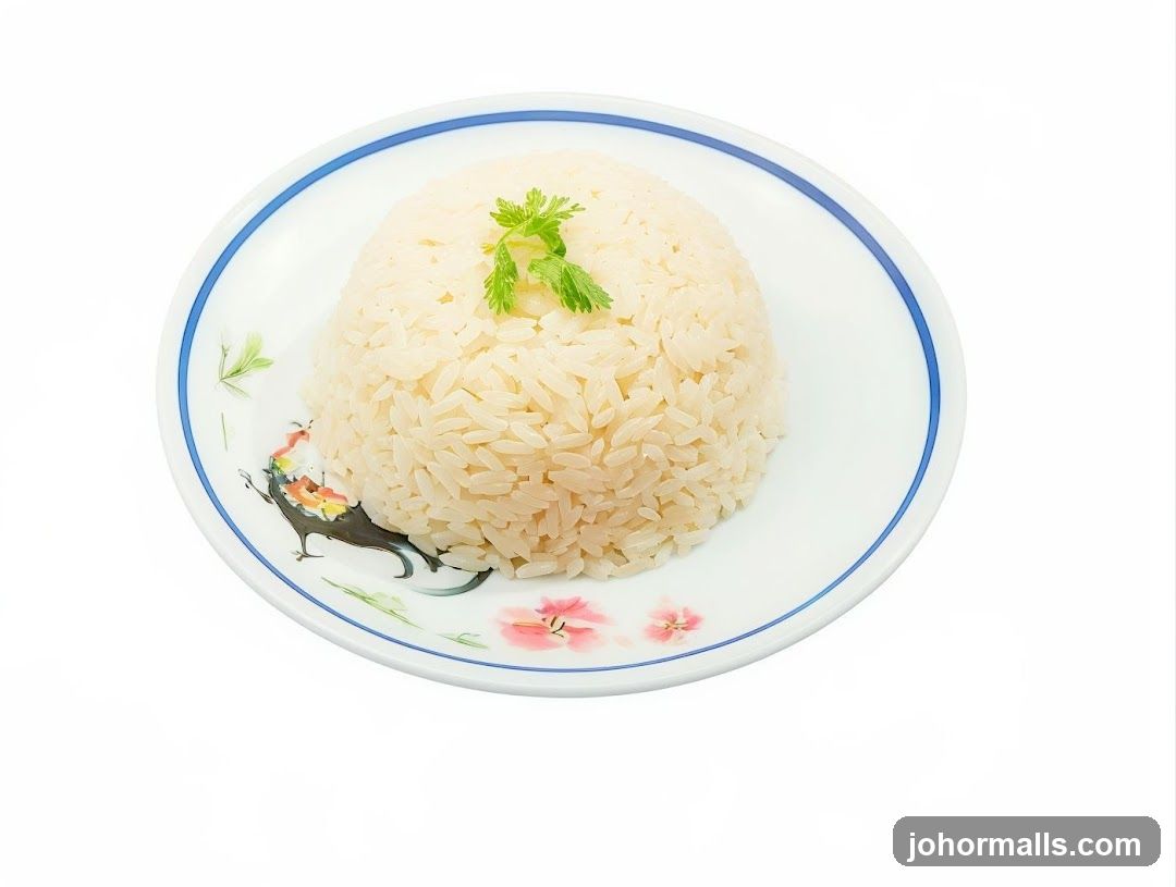 Rice on Plate