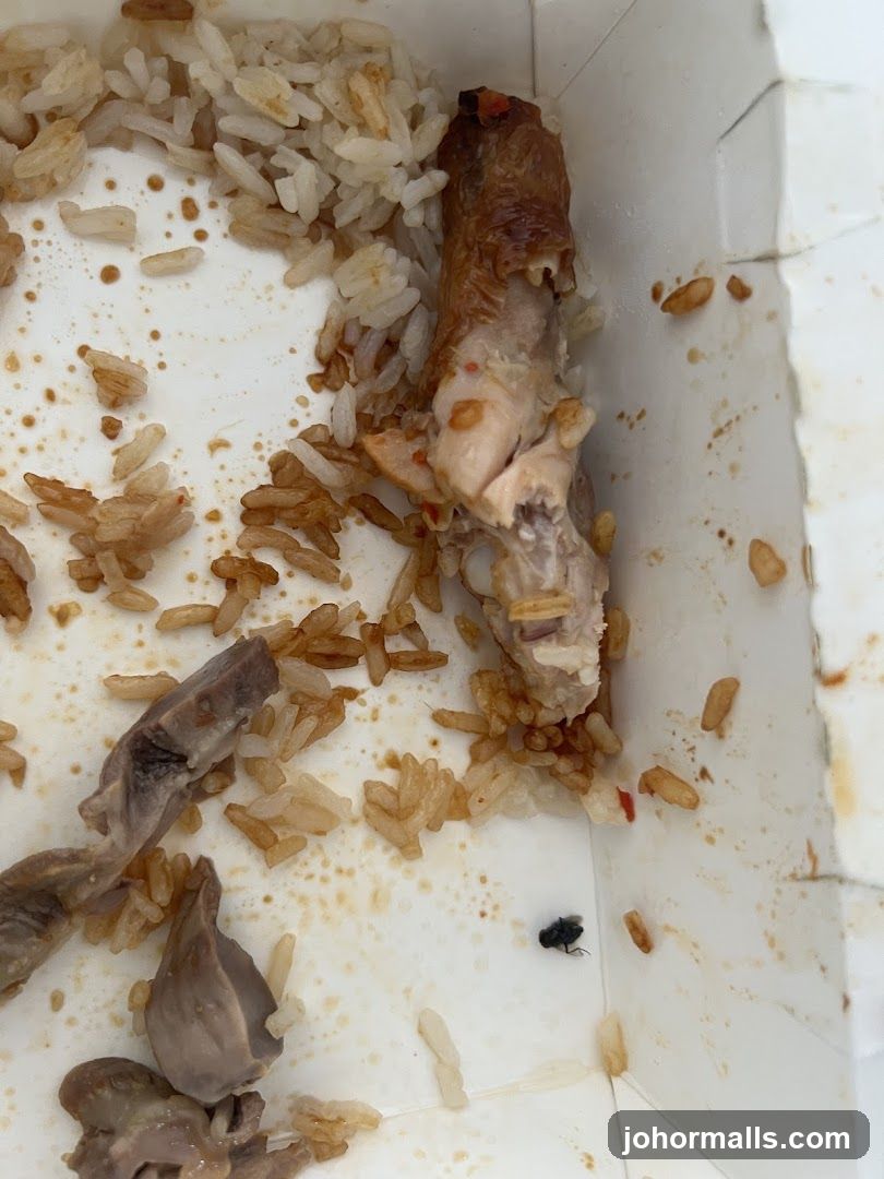 Food Remnants in Takeaway Box