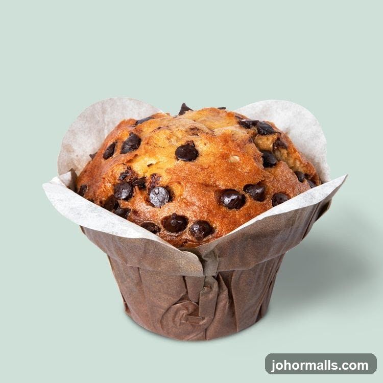Chocolate Chip Muffin