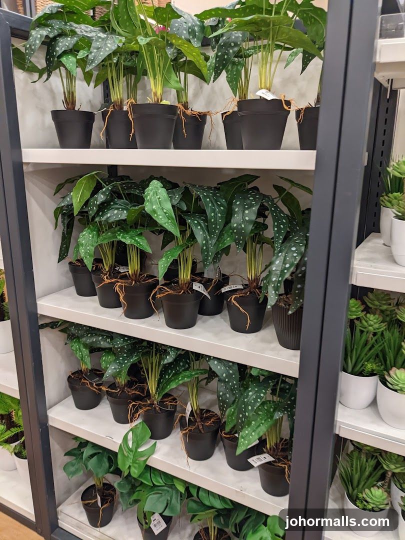 Potted Plants on Shelves