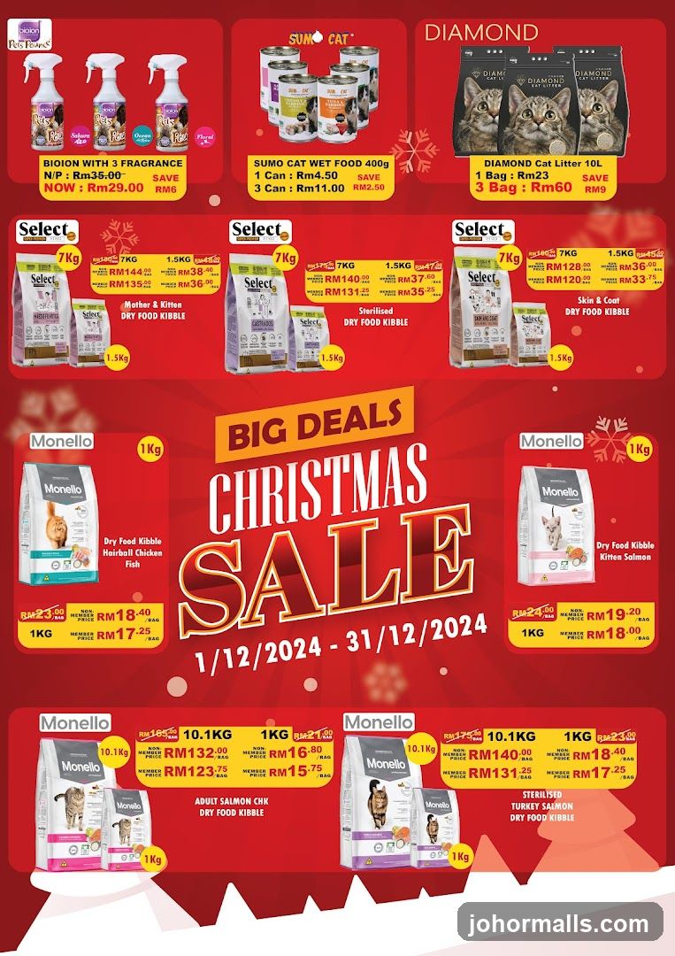 Christmas Sale Advertisement