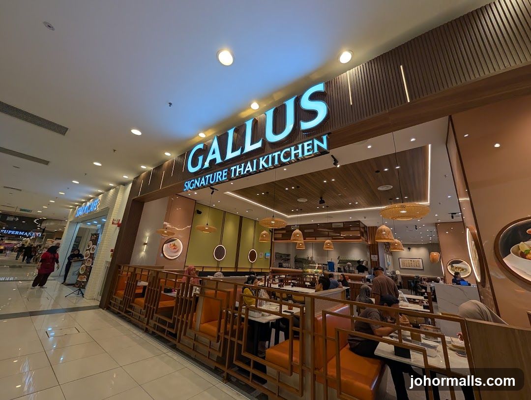 Gallus