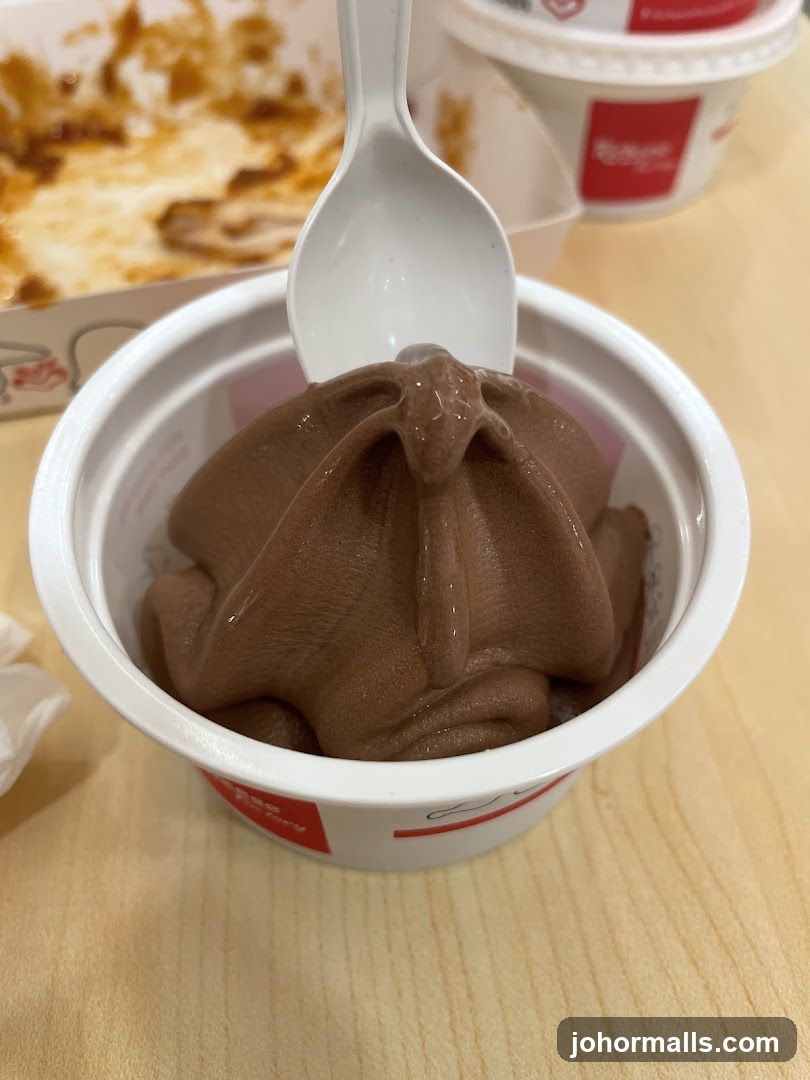 Chocolate Soft Serve Ice Cream