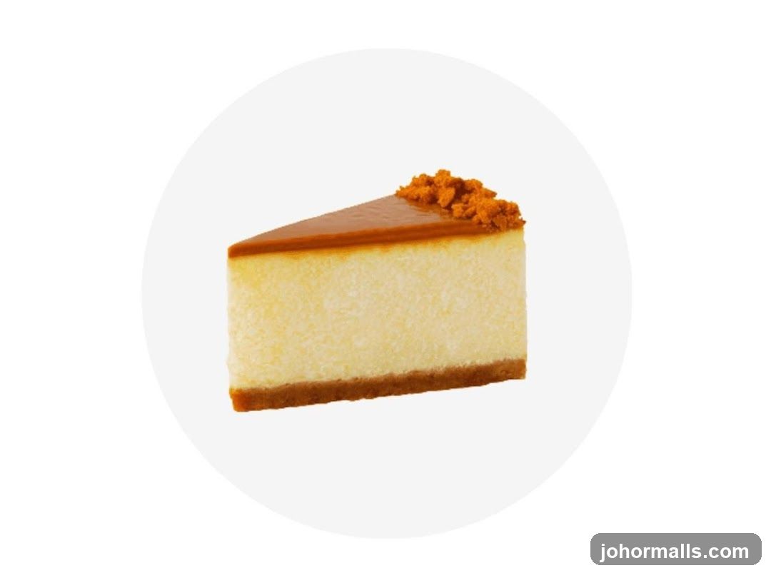 Cheesecake Slice