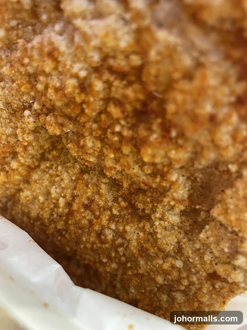 Close-up of Fried Food