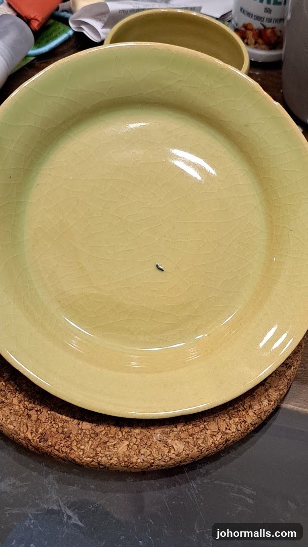 Plate with a small insect