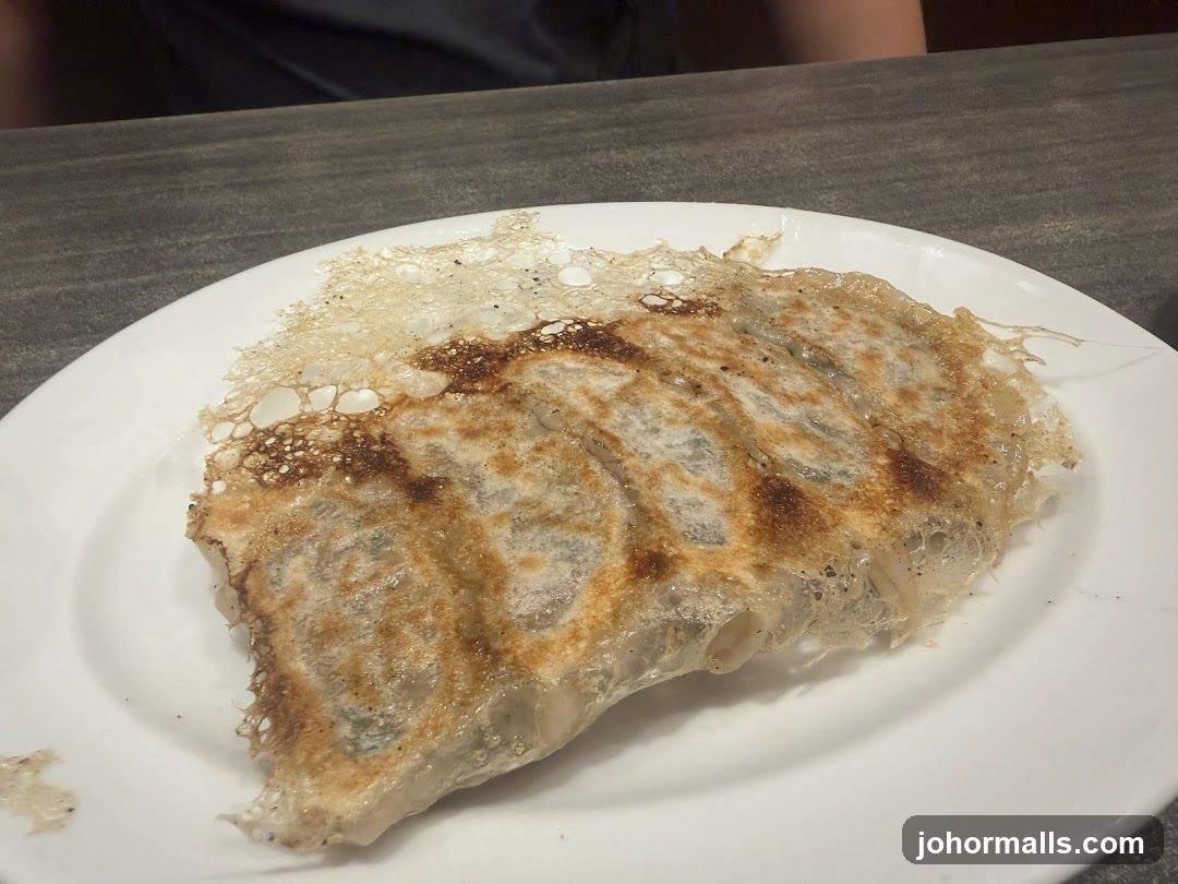 Pan-Fried Dumplings