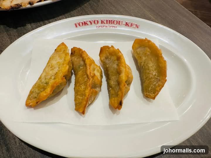 Fried Dumplings