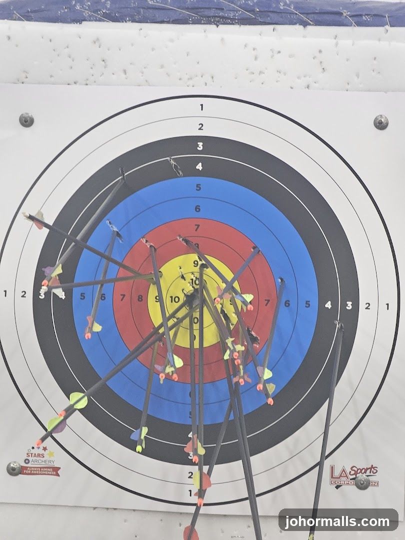 Archery Target with Arrows