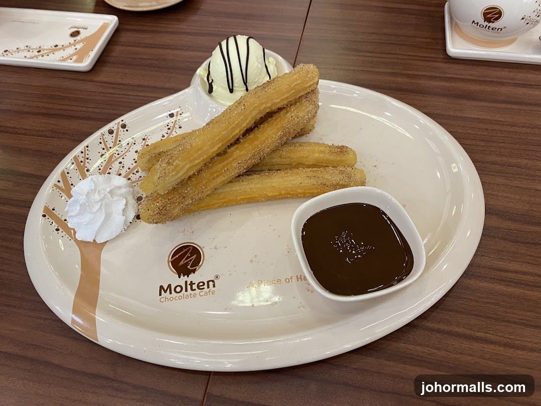 Churros with Chocolate Dip and Ice Cream