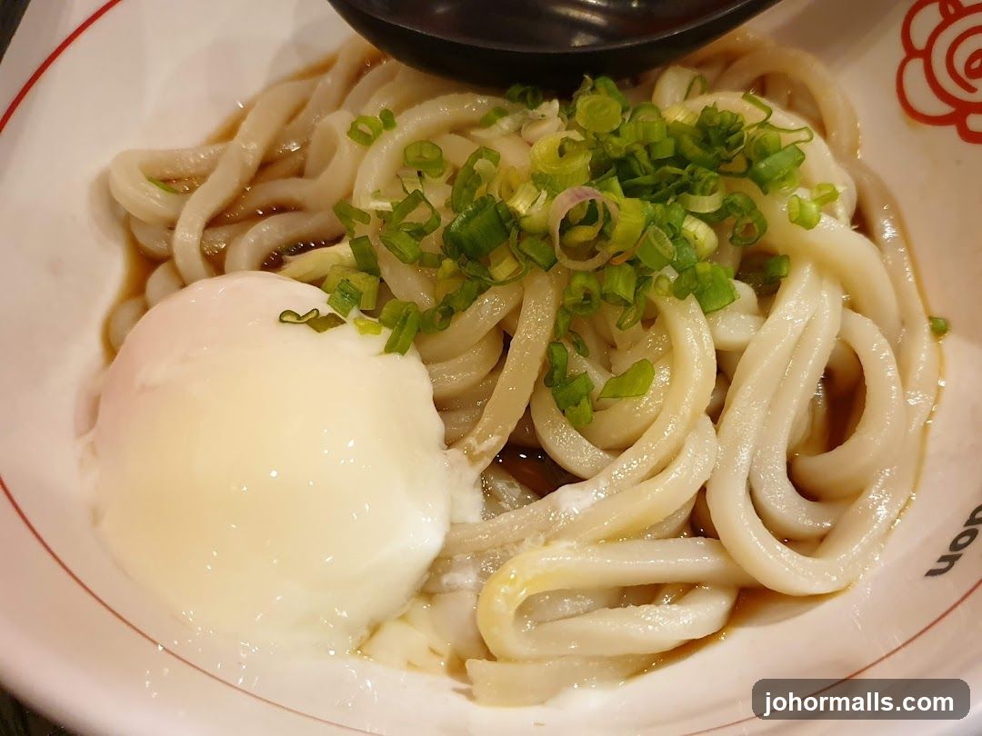 Udon Noodles with Egg