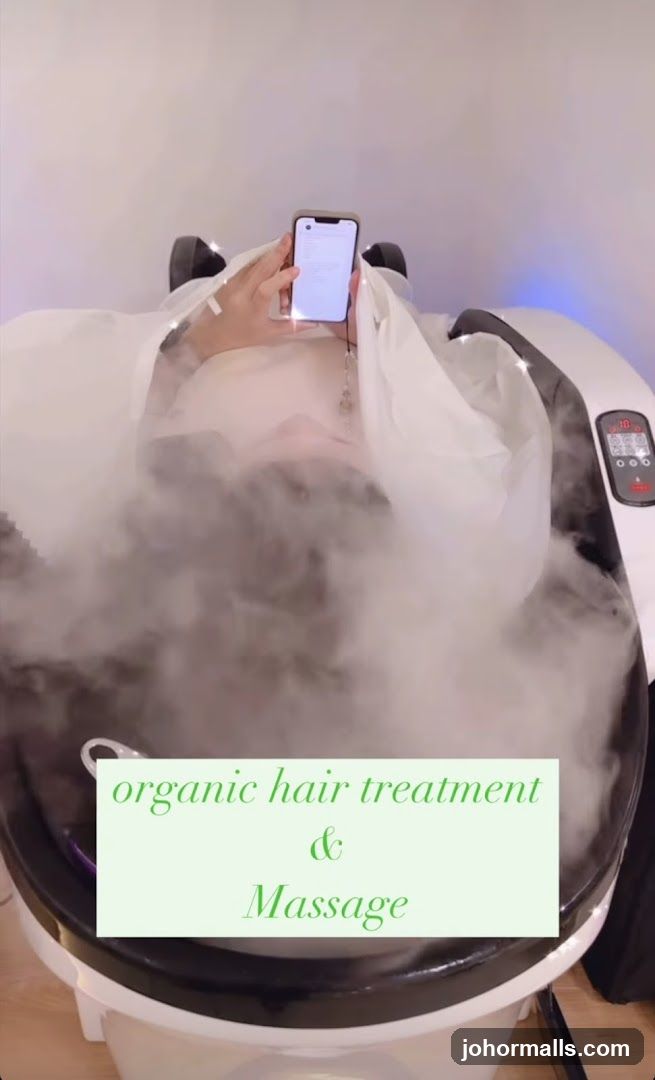 Hair Steamer Treatment