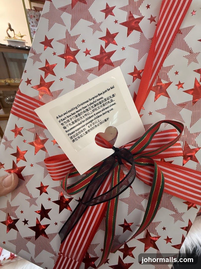 Christmas Surprise Box