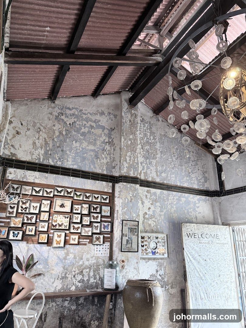 Interior of a museum or cafe with butterfly displays