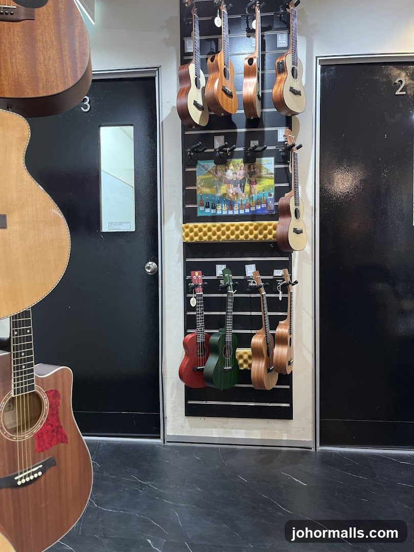 Musical Instruments Display