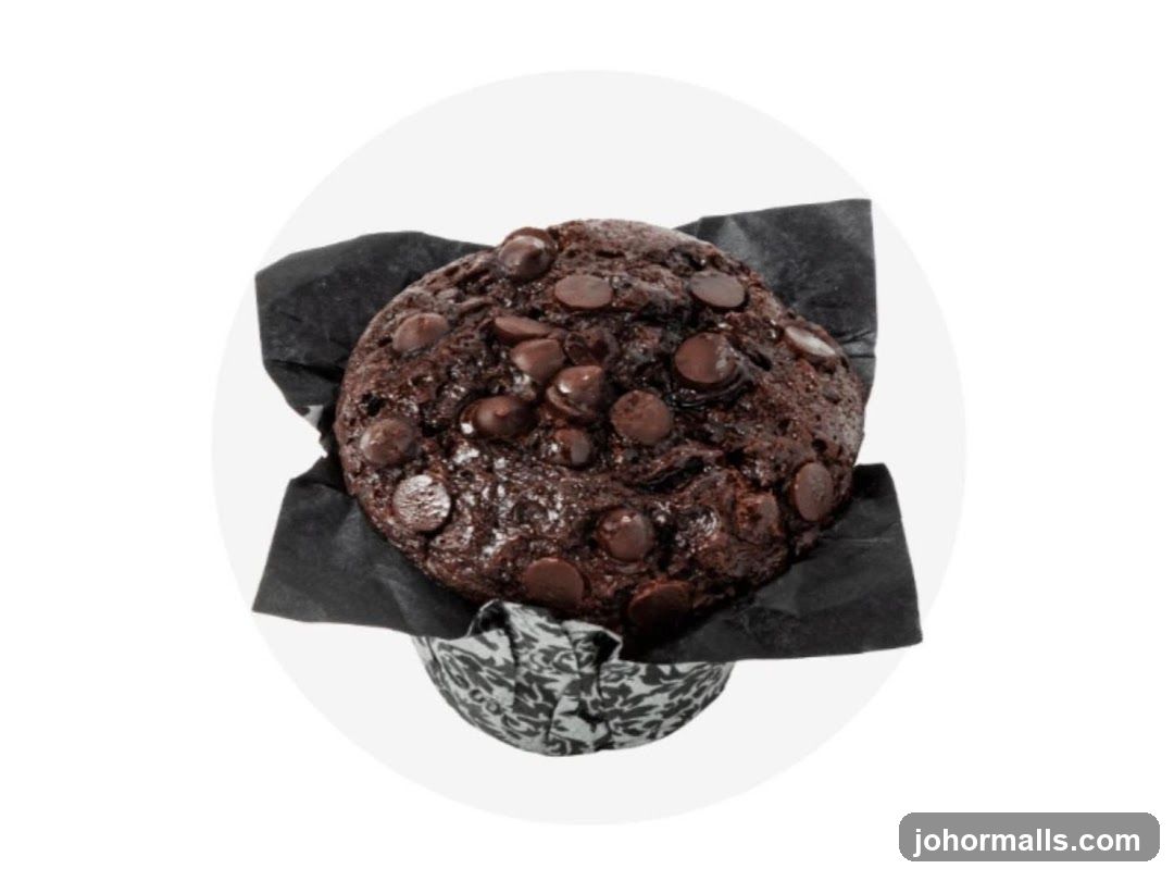Chocolate Chip Muffin