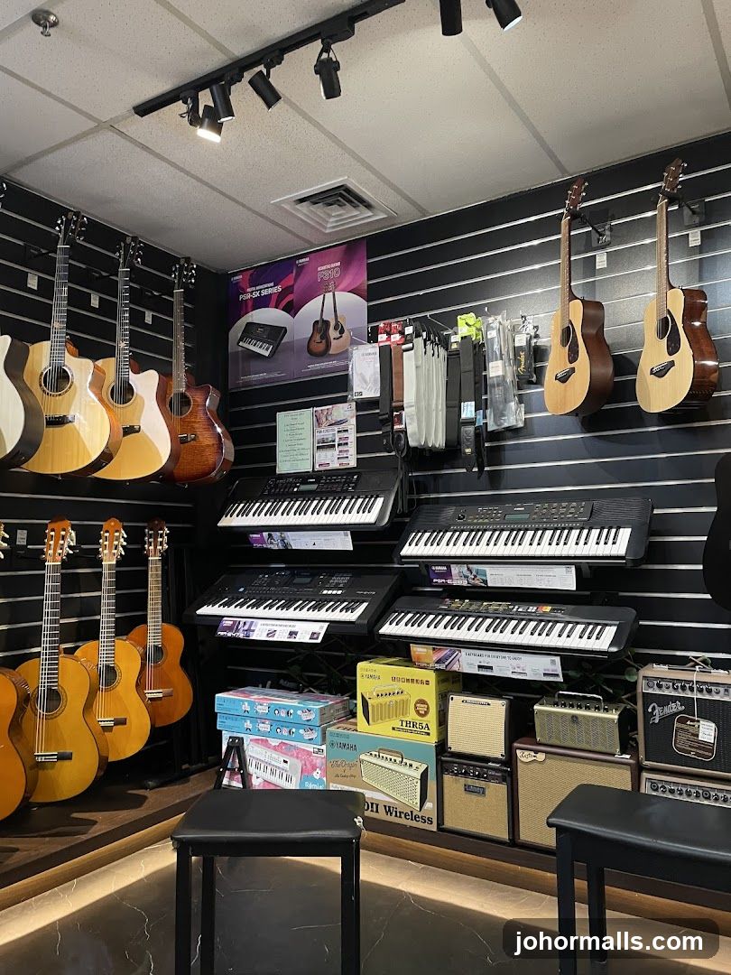 Musical Instruments Store