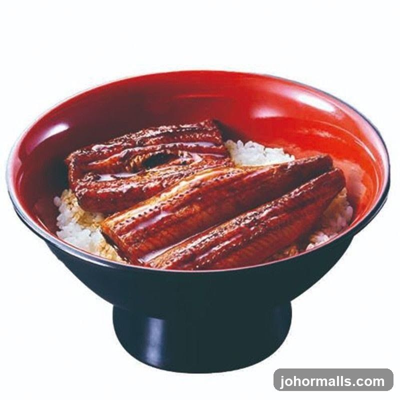 Unagi Donburi