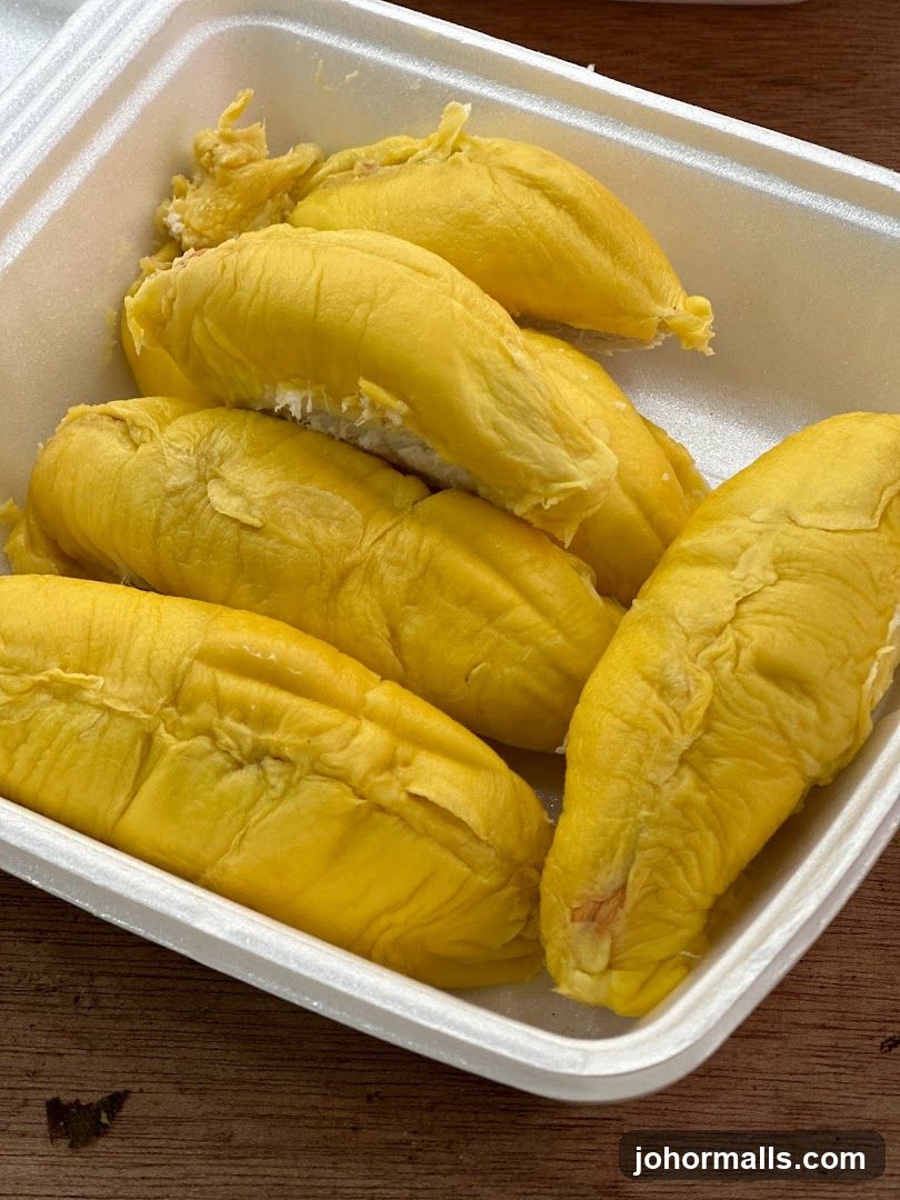 Mari-Mari Durian Paradigm