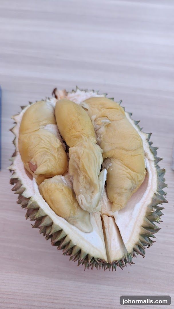 Durian Fruit