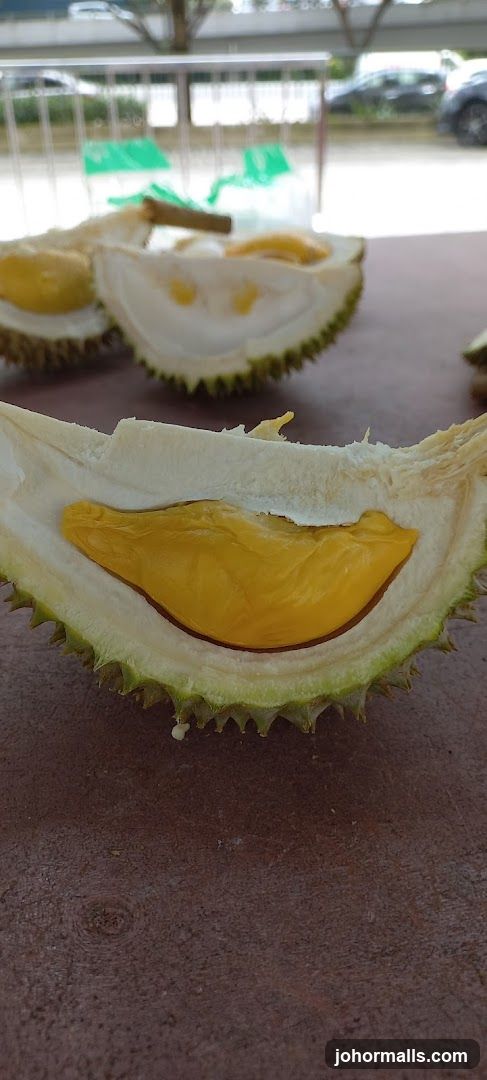 Fresh Durian Fruit