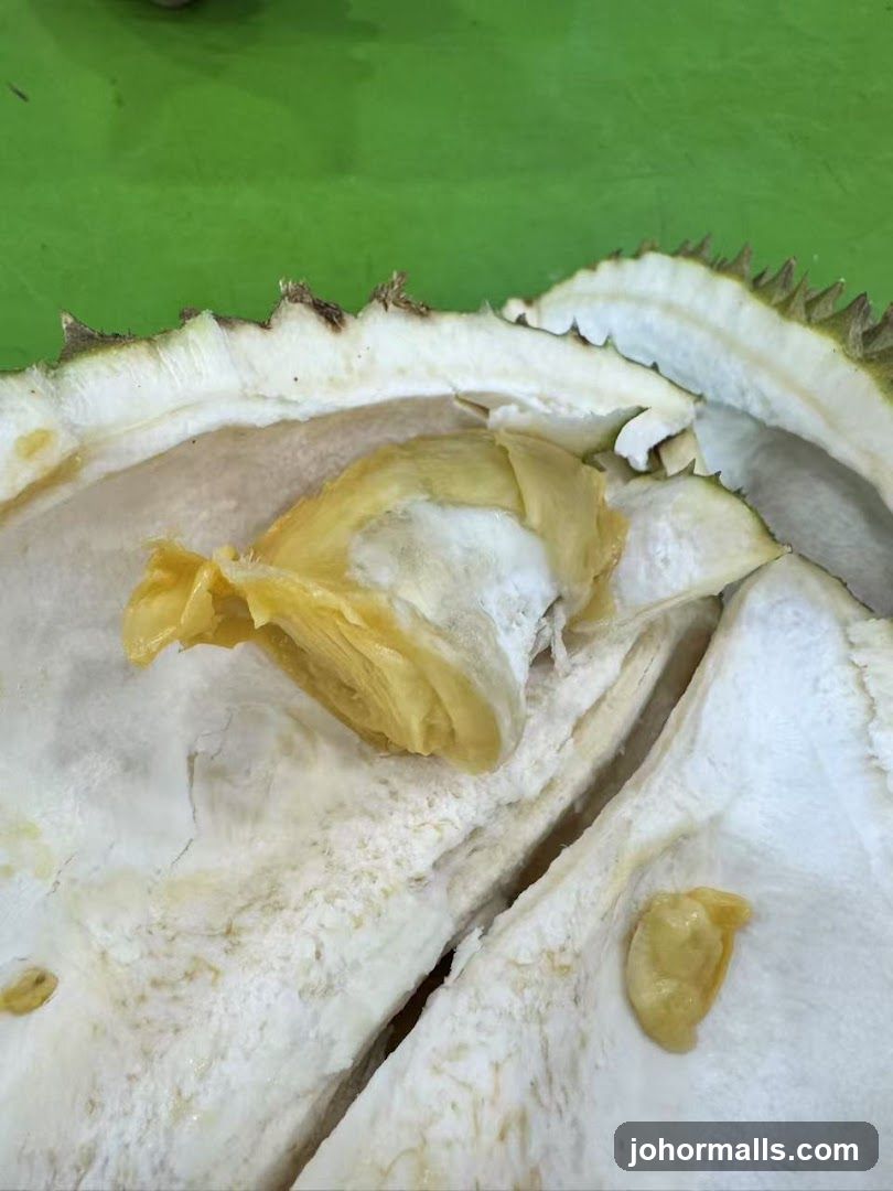 Durian Flesh