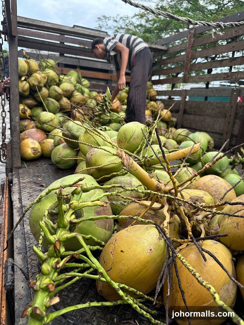 Coconuts in a Truck