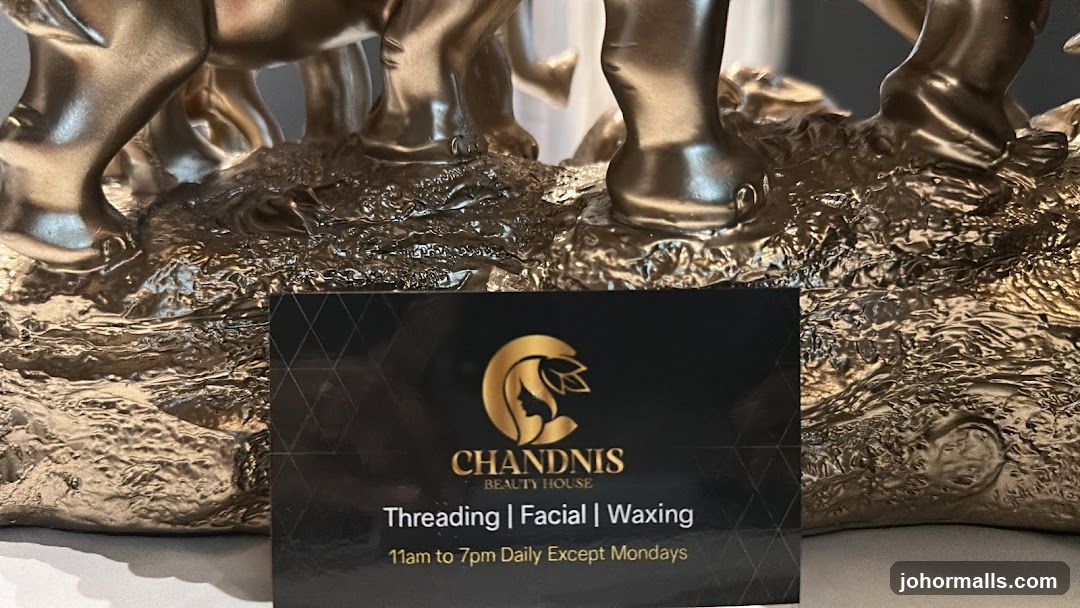 Chandnis Beauty House Business Card