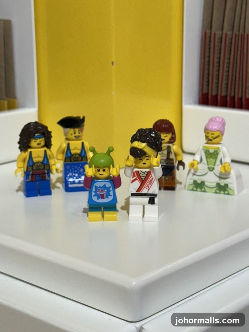 Lego Minifigure Collection