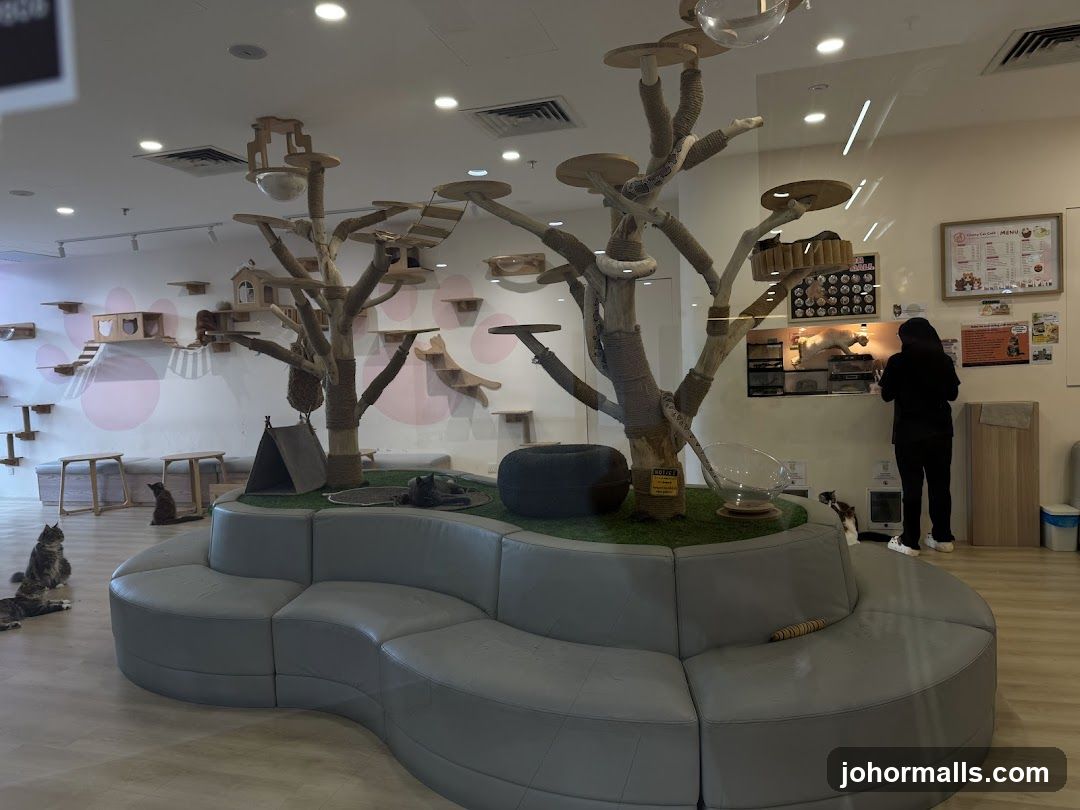 Cat Cafe Interior
