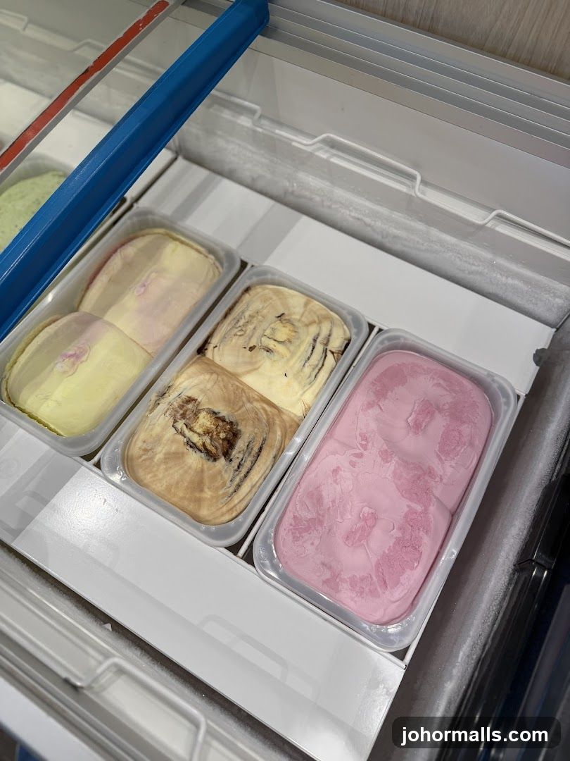Ice Cream Freezer
