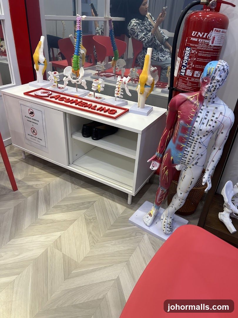 Acupuncture and Chiropractic Models