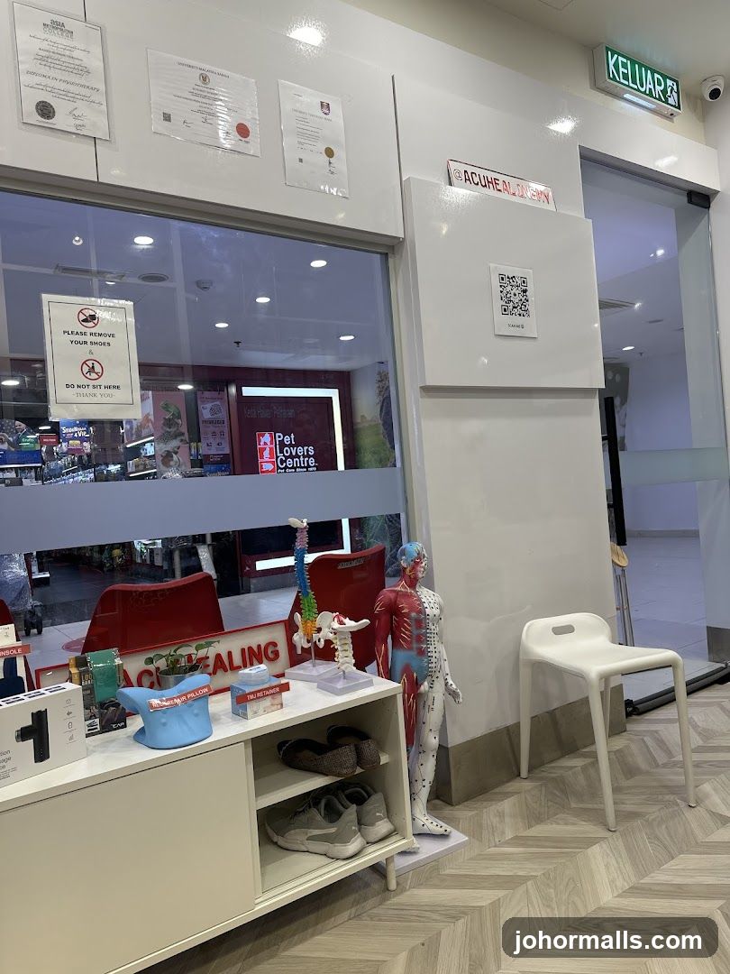 Clinic Interior with Anatomical Models