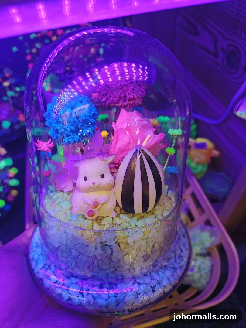 MyLittleFlower (Paradigm Mall) - 会睡觉的真花， 永生花，夜光花礼品专卖店