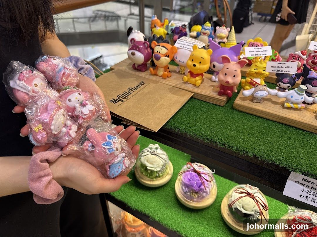 Character Figurines and Preserved Flowers
