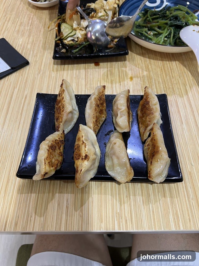Pan-fried dumplings