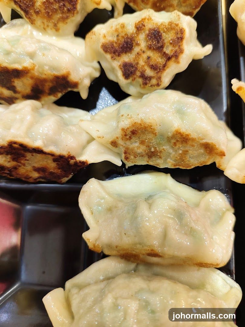 Pan-fried dumplings