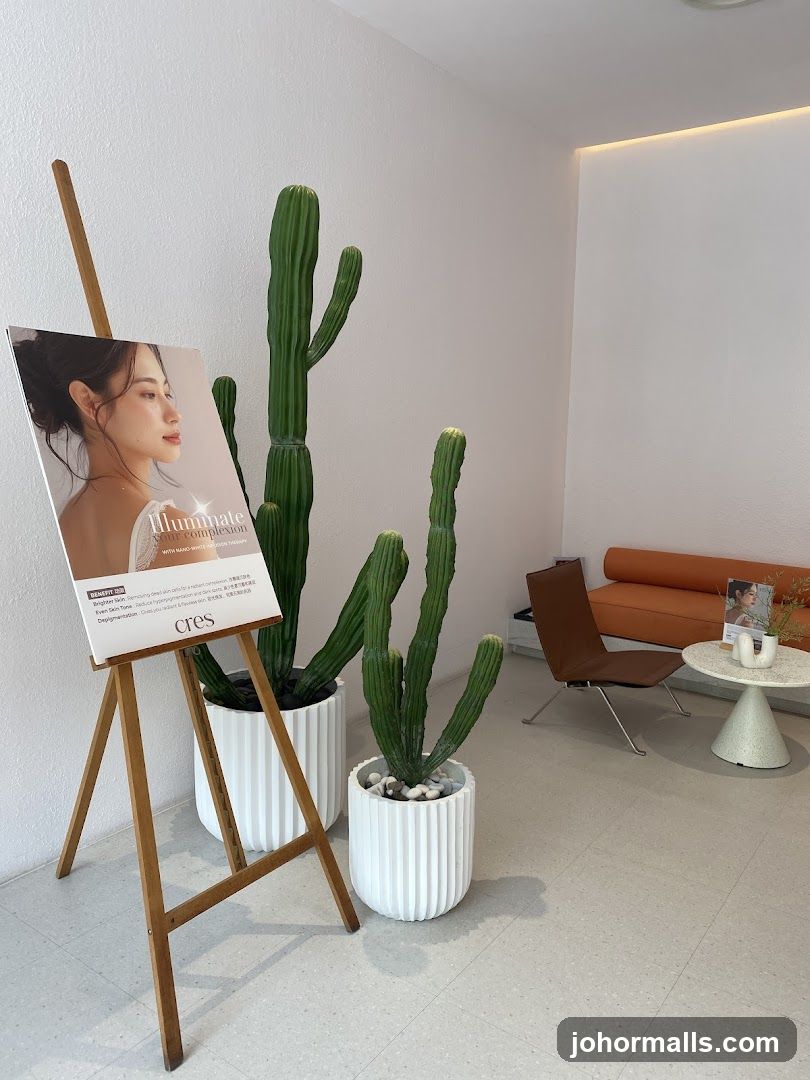 Interior with Cacti and Seating