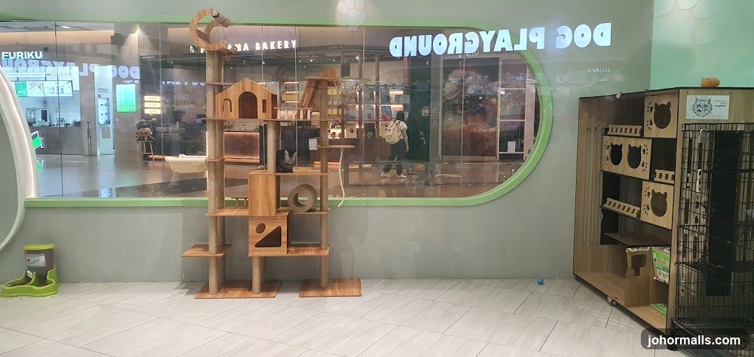 Pet Playground Interior