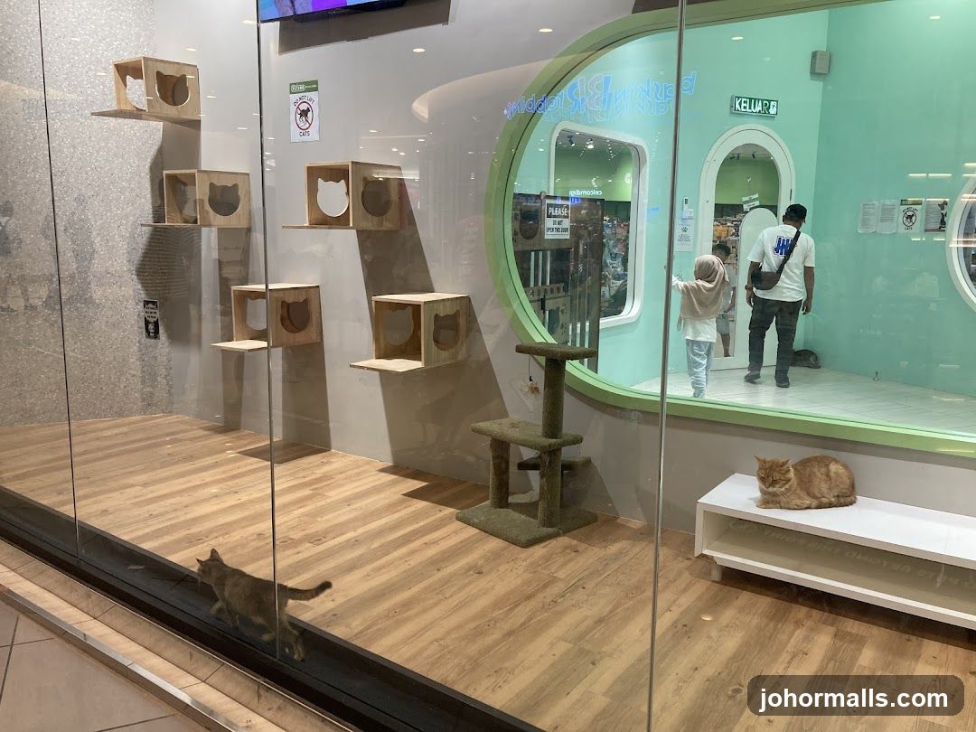 Cat Cafe Interior