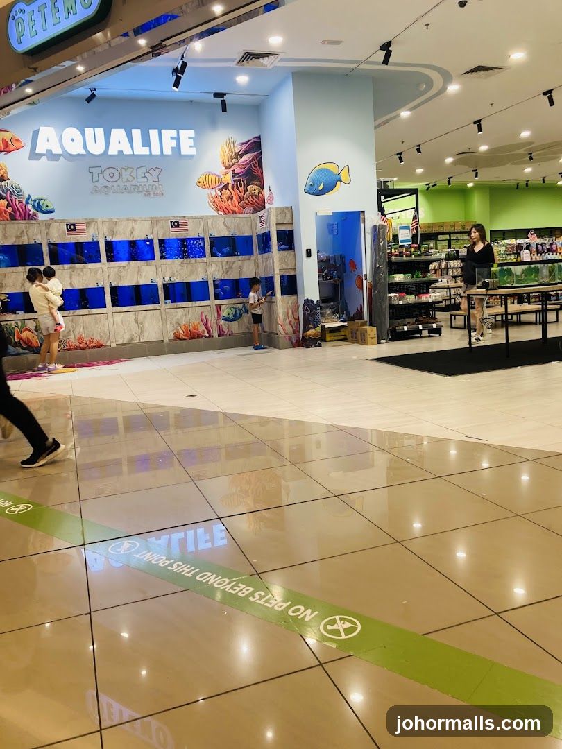 Aquarium Store Interior