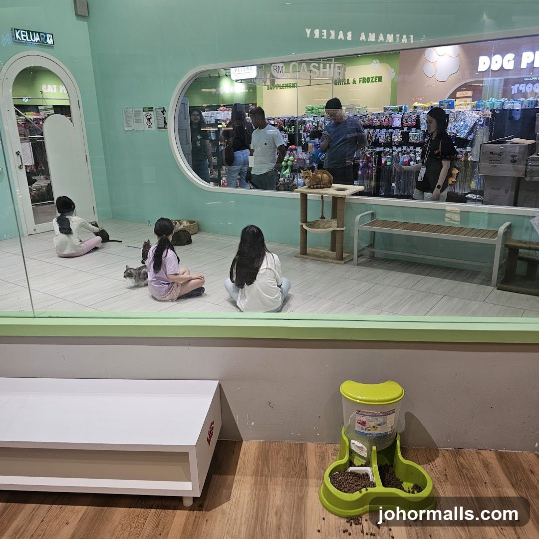 Cat Cafe