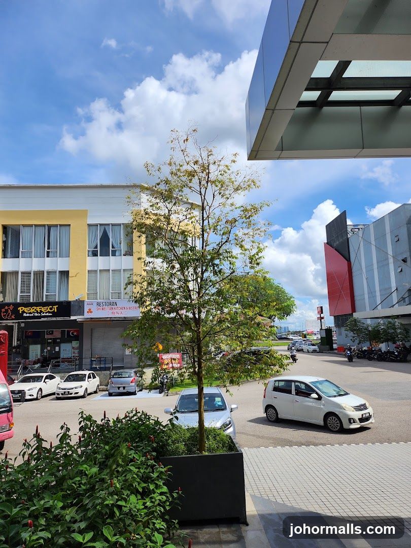 Street View with Buildings and Cars