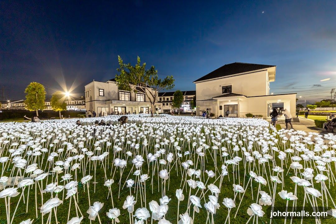 Illuminated Rose Garden at Night