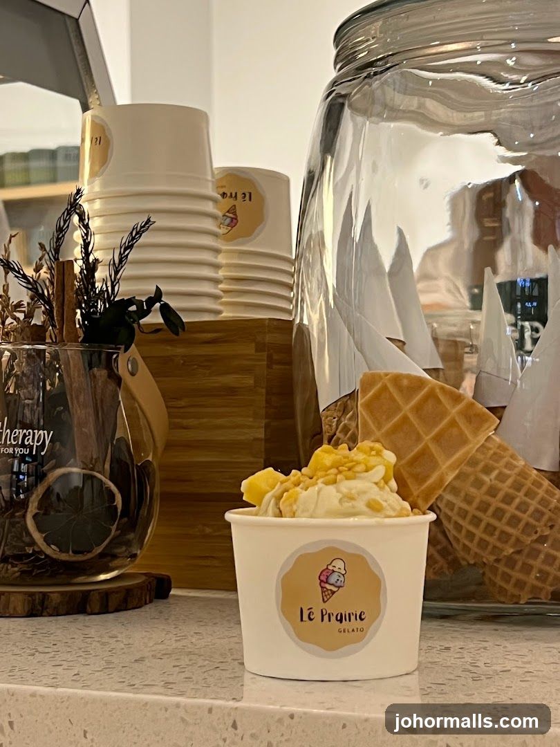 Gelato Cup with Waffle Cones
