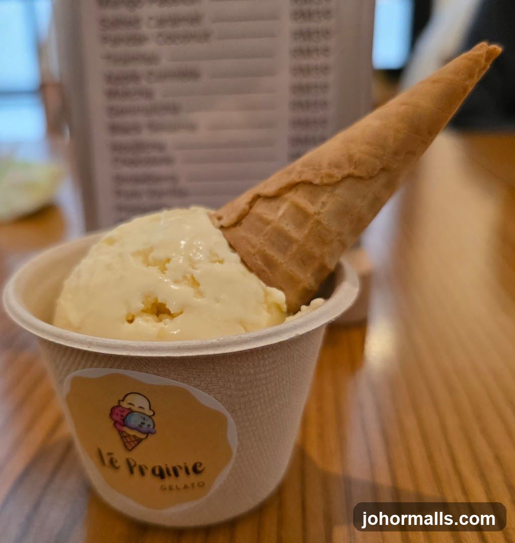 Ice Cream Cup with Waffle Cone