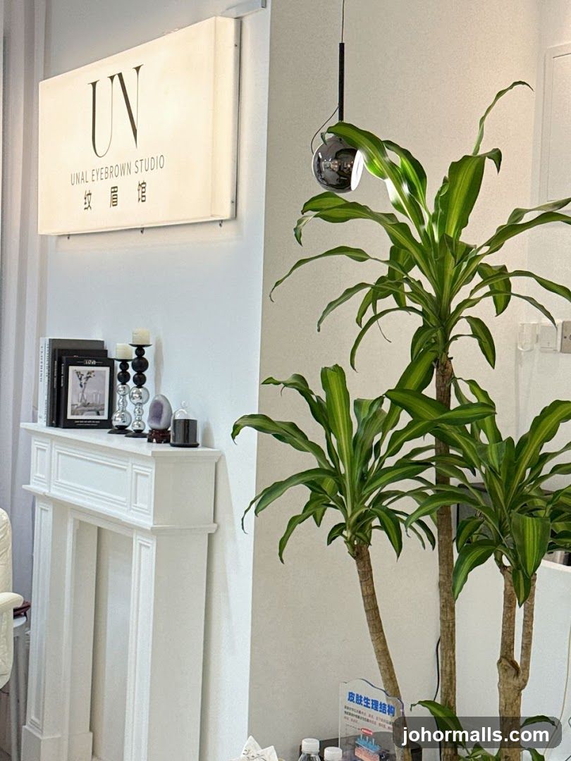Interior of UNAL EYEBROW STUDIO
