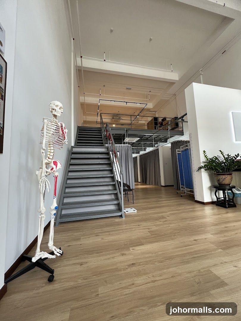 Interior of a clinic or studio with anatomical model