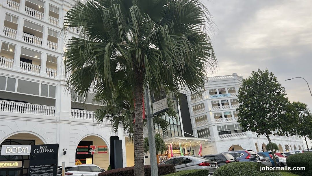 Modern Building Facade with Palm Tree