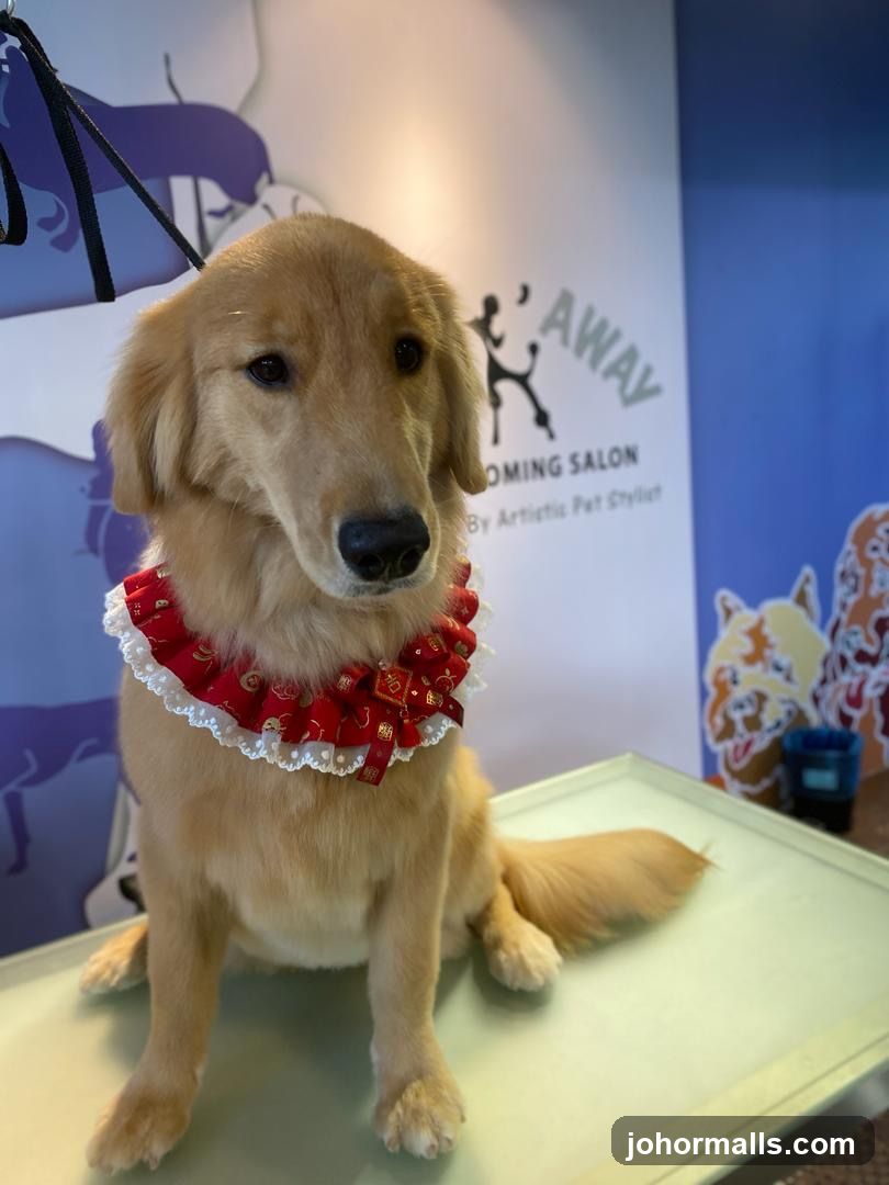 Fur & Away Pet Grooming Salon